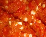 Saucematakin girki3 hoto