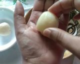 A picture of step 13 of Rasgulla in Rabri.