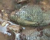 صورة لخطوة 4 من وصفة سمك صيادية تحفة 💐🐟🐠