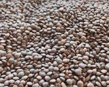 صورة لخطوة 1 من وصفة مجدرة رز