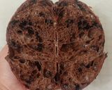 Foto langkah ke 22 dari resep Double Chocolate Sourdough Bread (86%).