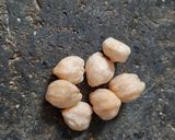 Foto langkah ke 2 dari resep Baceman bawang.