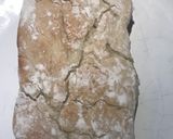 Foto del paso 7 de la receta: Pan tipo ciabatta