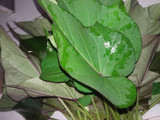 Brambang Asem