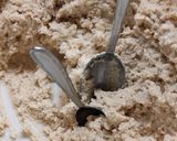 Zabos túrógombócka (túrófánk) recept fázis 4 fotója