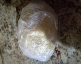 Foto del paso 2 de la receta: Tarta de Santiago