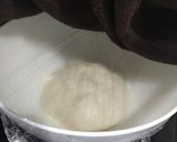 Foto del paso 3 de la receta: Pizza Ana fs