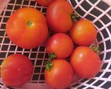 ટામેટાં સૂપ (Tomato Soup Recipe In Gujarati) રેસીપી સ્ટેપ1ફોટો