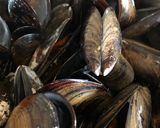 Foto del paso 1 de la receta: Mejillones a la mostaza