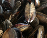 Foto del paso 1 de la receta: Mejillones a la mostaza