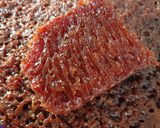 Foto langkah ke 8 dari resep Bolu Caramel.