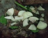 Foto langkah ke 6 dari resep Sop Daging dan Tulang Kambing Kuah Bening.