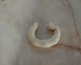 Foto del paso 5 de la receta: Rosquitas