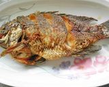 紅燒海吳郭魚的食譜步驟4照片