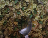Foto del paso 1 de la receta: Tabulé verde