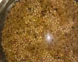 Foto del paso 2 de la receta: Lentejas!!!! Potaje 100%100 VEGANO