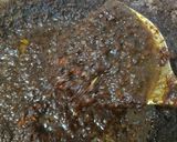 Foto langkah ke 6 dari resep Nasi Bebek Hitam Madura.
