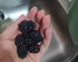 Foto del paso 5 de la receta: Postre fit con 12 g de proteína natural