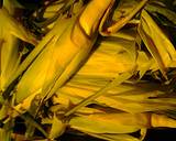 Oven roasted corn unhusked and cauliflower recipe step 4 photo