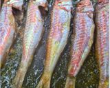 Foto del paso 4 de la receta: Salmonetes en salsa de puerros y almendras