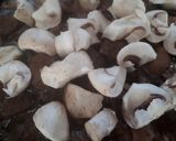 A picture of step 6 of Steak and kidney pie.