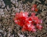Foto del paso 3 de la receta: Molotes Istmeños
