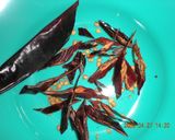 A picture of step 2 of Sambal (Chili Pepper Paste).