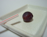 A picture of step 1 of Simple, Quick and Neat Removal of Grape Seeds & Skins.