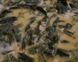 Foto langkah ke 7 dari resep Sayur santan daun singkong teri.