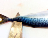 A picture of step 16 of How to Fillet a Whole Fish.