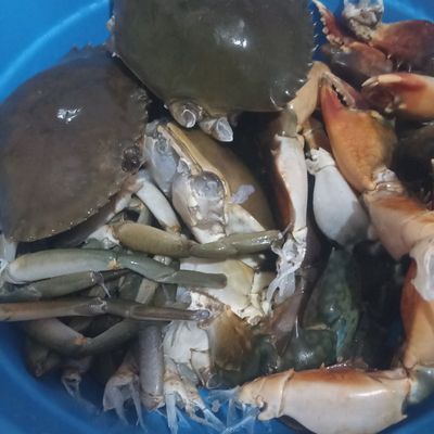 Langkah 1
