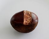 A picture of step 3 of Peel the Outer Shells of Chestnuts with a Paring & Butter Knife.