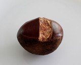 A picture of step 3 of Peel the Outer Shells of Chestnuts with a Paring & Butter Knife.