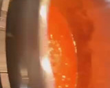 Foto del paso 4 de la receta: Boloñesa a baja temperatura