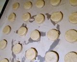 A picture of step 5 of Digestive biscuit #biscuitchallengebybelinda.