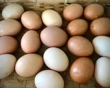 Foto del paso 1 de la receta Tomate frito con huevo