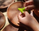 Foto del paso 7 de la receta: Chiles de agua rellenos de picadillo de pollo