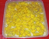 Foto langkah ke 7 dari resep Puding Lapis Mangga.