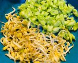 Foto langkah ke 1 dari resep 540. Tumis Buncis Taoge.