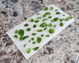 A picture of step 2 of Drying Basil the Fast Way.