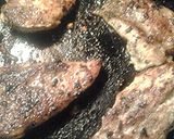 A picture of step 4 of Blackened chicken.
