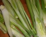 Sig's Fennel & Portobello Mushroom Bake recipe step 1 photo