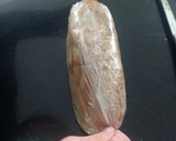 Foto del paso 6 de la receta: Foie micuit