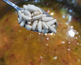 Foto del paso 4 de la receta: Guisado de vacuno 🍲 🥄