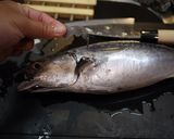 A picture of step 3 of Preparing Frigate Mackerel (Katsuo).