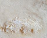 Foto langkah ke 2 dari resep Keju aroma.