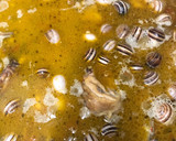 Foto del paso 4 de la receta: 88. Arroz con conejo y caracoles (principal paella)