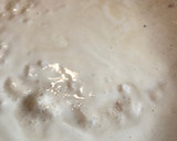 Foto del paso 5 de la receta: Spaghetti mar y tierra