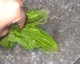 A picture of step 5 of Ozouni with Lots of Dashi.