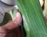 Foto langkah ke 2 dari resep Kukus tahu jagung manis.